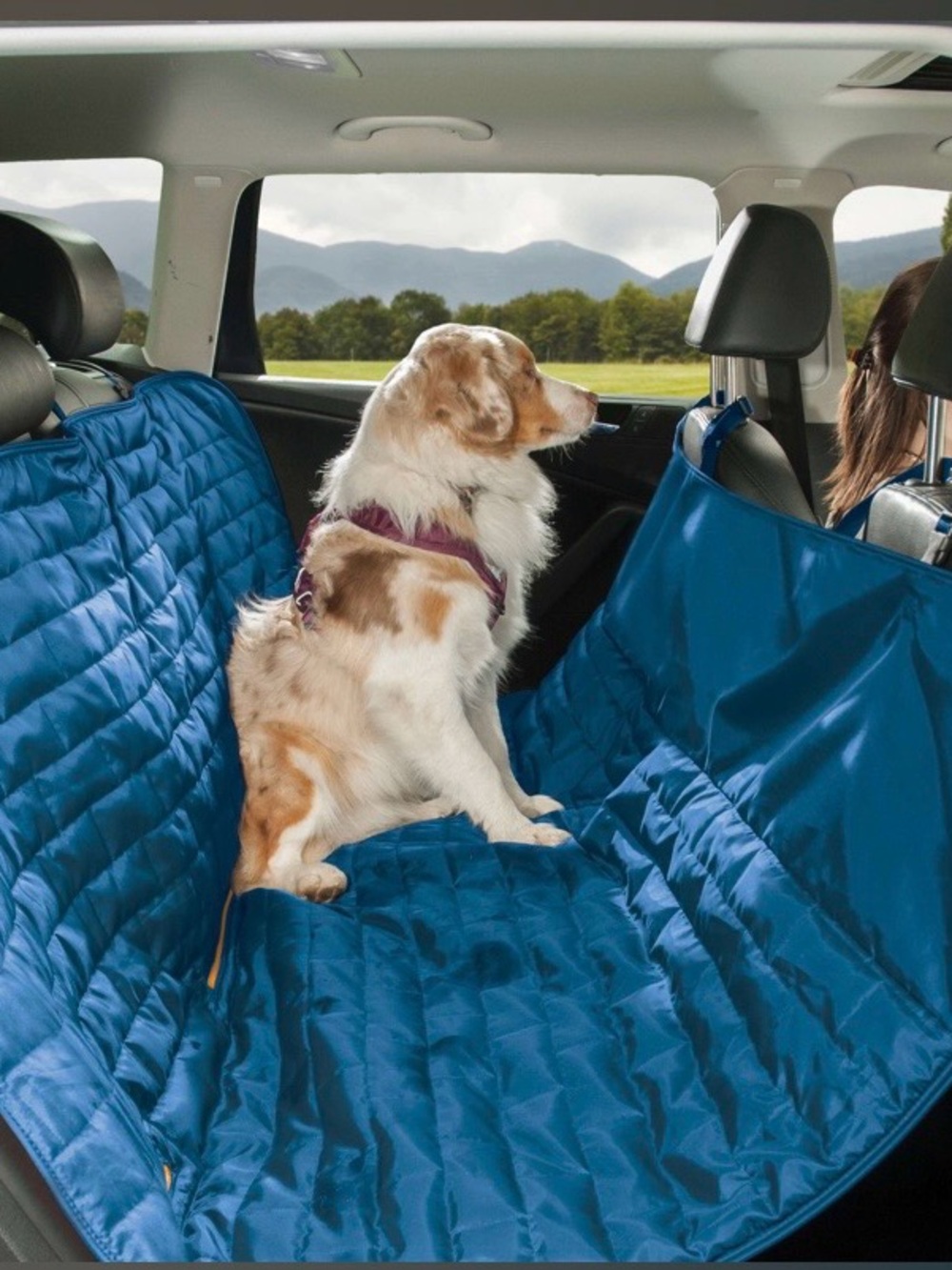 Kurgo Blue Quilted Hammock-Style Dog Car Seat Cover